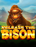 reel777 สมัคร และวิธีเล่นแบบมือโปร